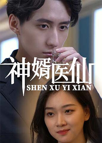 神婿医仙 海报 高清在线观看