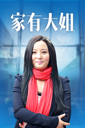 家有大姐 海报 高清在线观看
