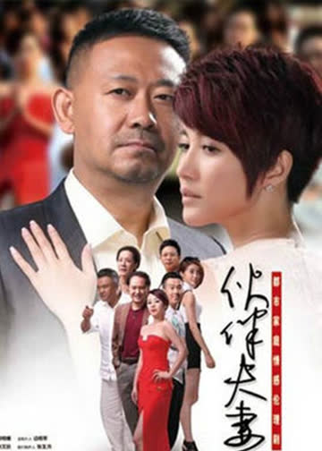 伙伴夫妻 海报 高清在线观看