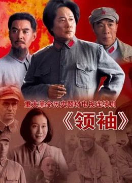 领袖 海报 高清在线观看