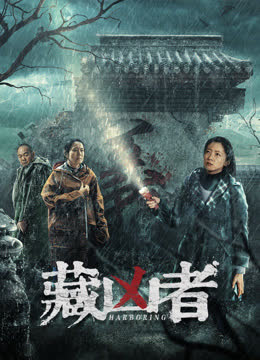 藏凶者 海报 高清在线观看