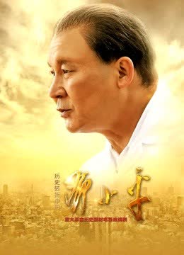 历史转折中的邓小平 海报 高清在线观看