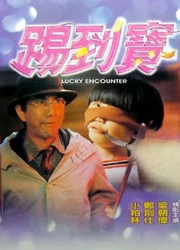 踢到宝(粤语) 海报 高清在线观看