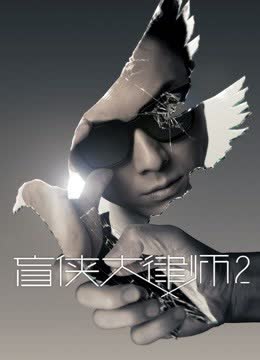 盲侠大律师2 粤语 海报 高清在线观看