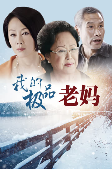 我的极品老妈 海报 高清在线观看