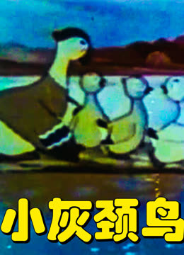小灰颈鸟 海报 高清在线观看