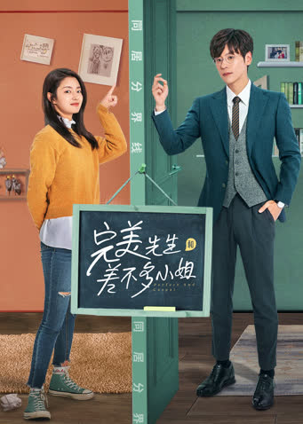 完美先生和差不多小姐 海报 高清在线观看