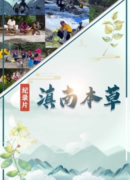 滇南本草 海报 高清在线观看