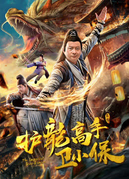护龙高手卫小保 海报 高清在线观看