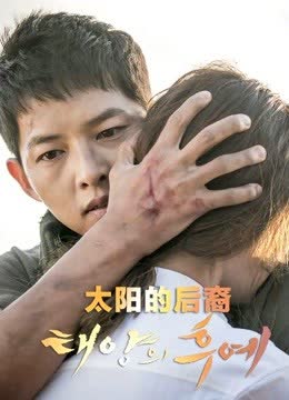 太阳的后裔 海报 高清在线观看