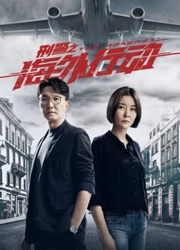 刑警之海外行动 海报 高清在线观看