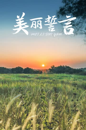 美丽誓言 海报 高清在线观看