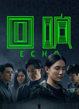 回响 海报 高清在线观看