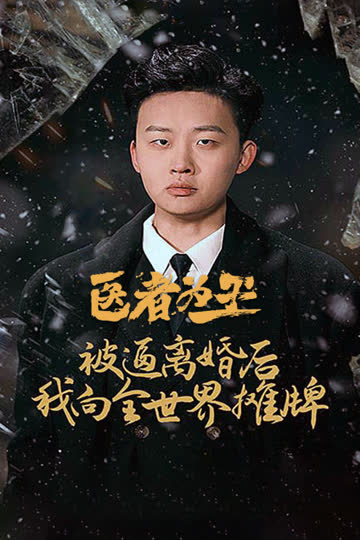 医者为王，被迫离婚后我向全世界摊牌 海报 高清在线观看