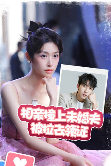 相亲撞上未婚夫被拉去领证 海报 高清在线观看