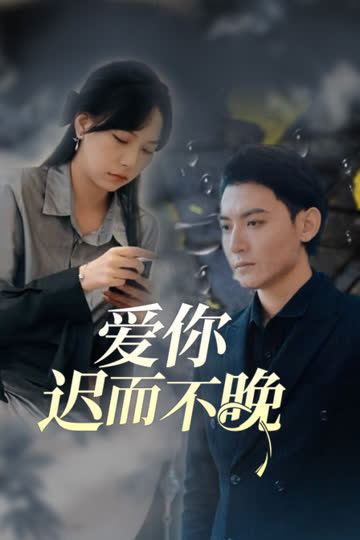 爱你迟而不晚 海报 高清在线观看