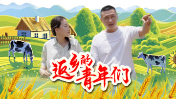 返乡的青年们 海报 高清在线观看