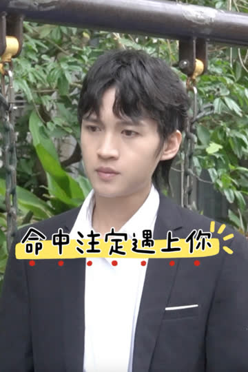 命中注定遇上你 海报 高清在线观看