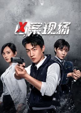 凶案现场 海报 高清在线观看