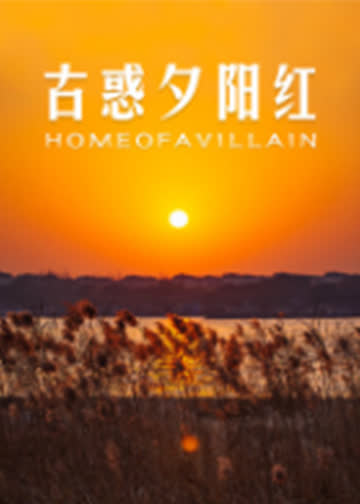 古惑夕阳红 海报 高清在线观看