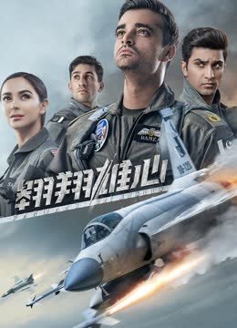 翱翔雄心 海报 高清在线观看