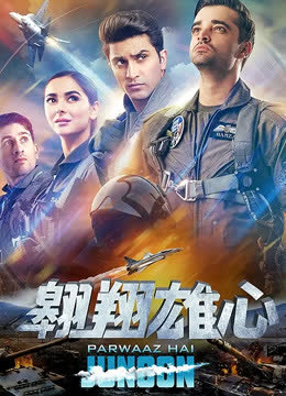 翱翔雄心（普通话） 海报 高清在线观看