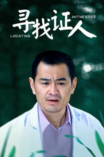 寻找证人 海报 高清在线观看