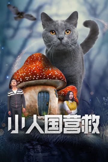 小人国营救 海报 高清在线观看
