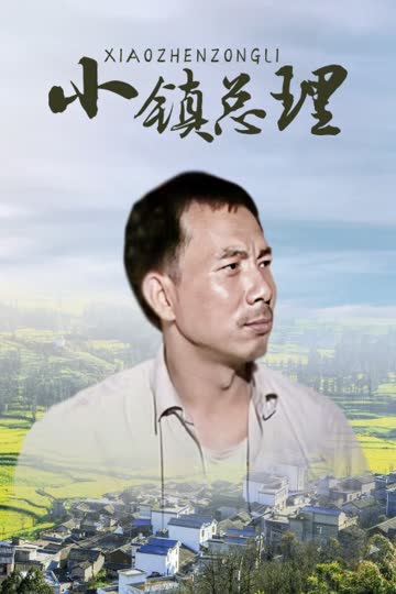 小镇总理 海报 高清在线观看