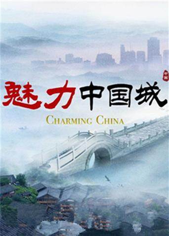 魅力中国城 第二季 海报 高清在线观看
