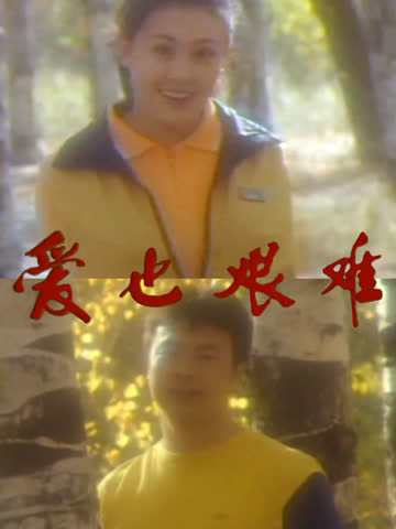 爱也艰难 海报 高清在线观看
