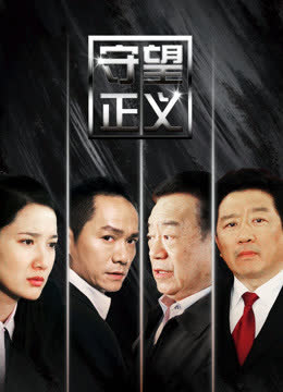 守望正义 海报 高清在线观看