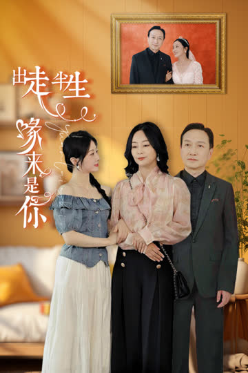 出走半生缘来是你 海报 高清在线观看