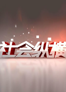 社会纵横 海报 高清在线观看