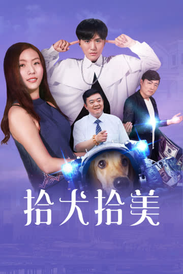 拾犬拾美 海报 高清在线观看