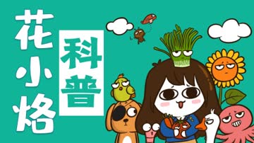 花小烙的知识科普 海报 高清在线观看