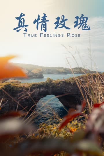 真情玫瑰 海报 高清在线观看