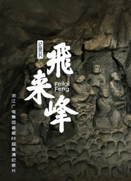 飞来峰 海报 高清在线观看
