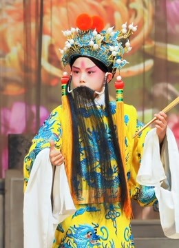 第七届“和平杯”京剧小票友邀请赛 海报 高清在线观看
