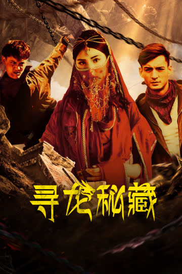 寻龙秘藏 海报 高清在线观看