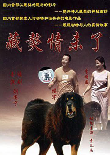 藏獒情未了 海报 高清在线观看