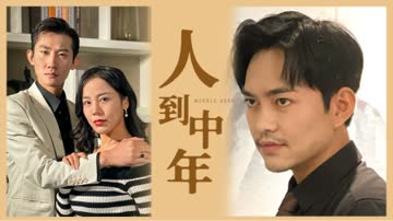 人到中年 海报 高清在线观看