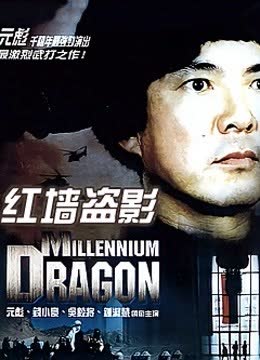 红墙盗影 海报 高清在线观看