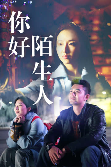 你好陌生人 海报 高清在线观看