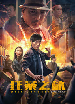 狂暴之旅 海报 高清在线观看