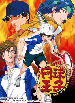 网球王子OVA 第5季 海报 高清在线观看