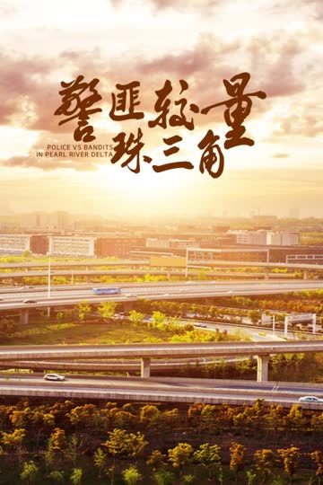 警匪较量珠三角 海报 高清在线观看