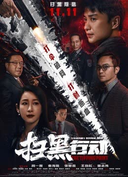 扫黑行动 海报 高清在线观看