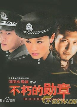 不朽的勋章 海报 高清在线观看