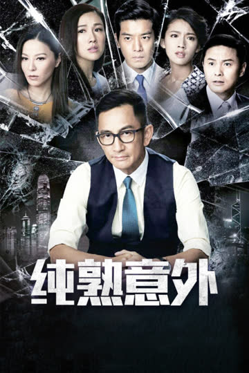 纯熟意外 海报 高清在线观看
